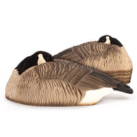 DSD Maximas Sleeper Shell Goose Decoys 6-Pack